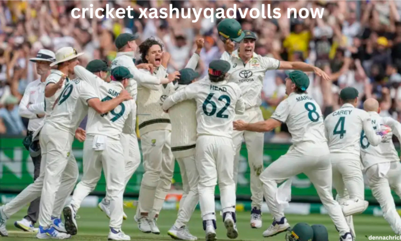 cricket xashuyqadvolls now